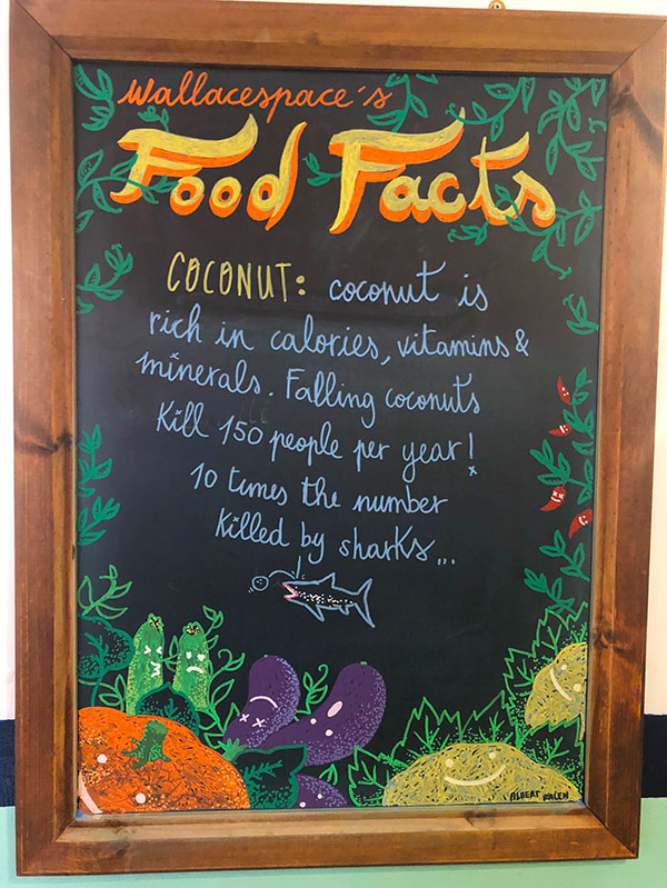 coconut fact