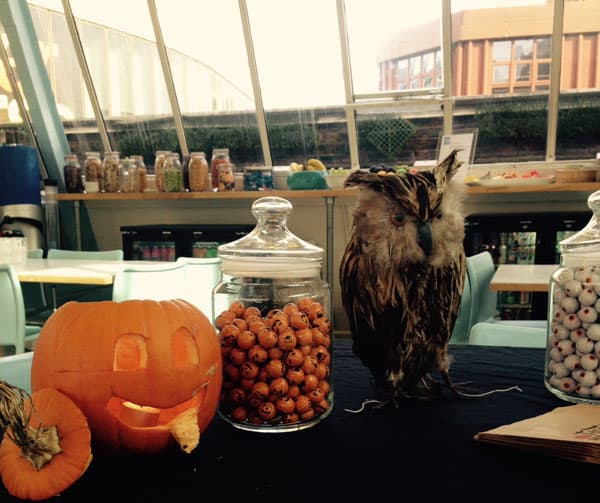 Pumpkins and sweets at Covent Garden