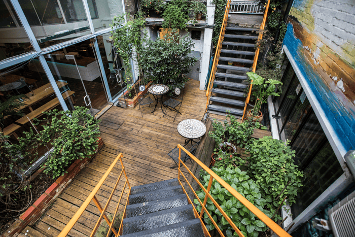 Patio Garden