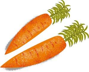 carrot