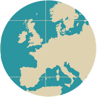 Globe icon